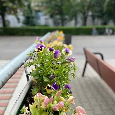 Place 2 Apartmán Varšava