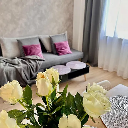 Place 2 Apartment